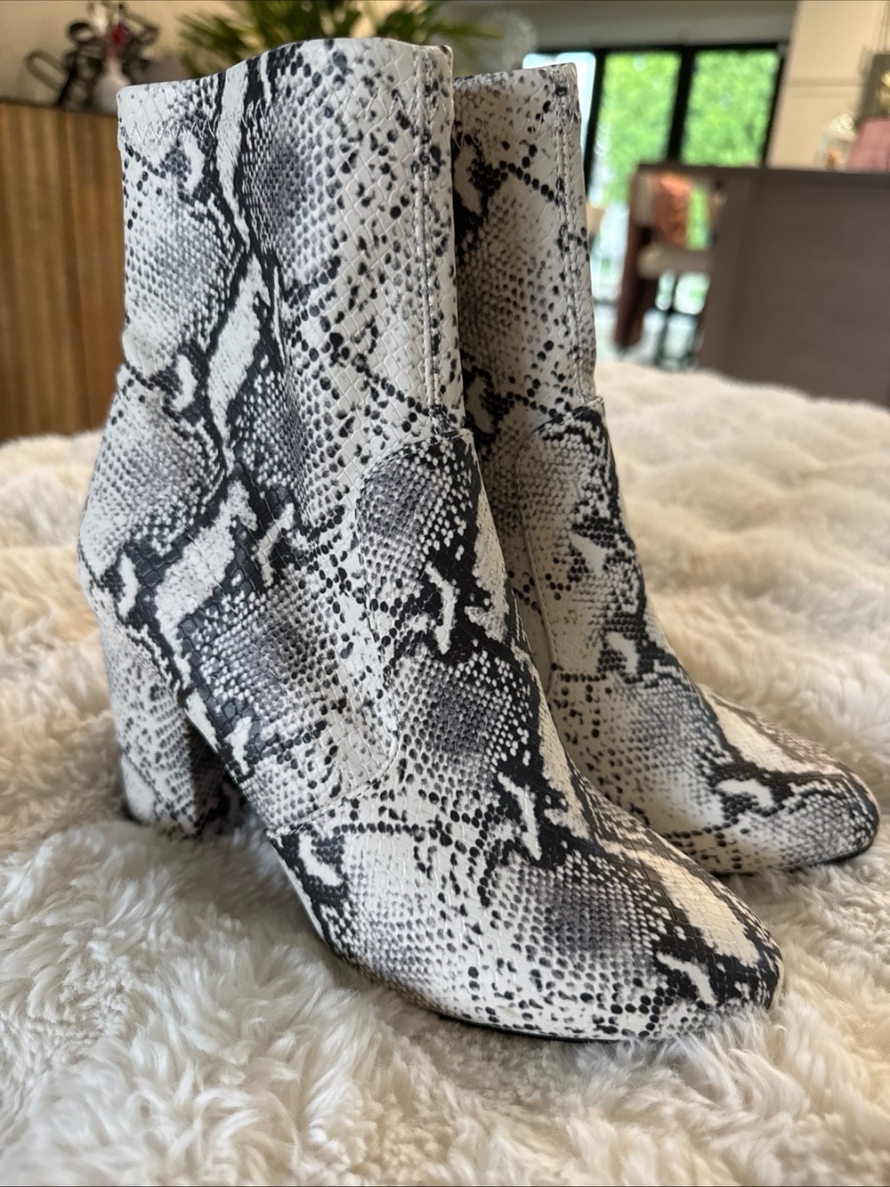 Madden Girl White and Black Snake Print Ankle Boots